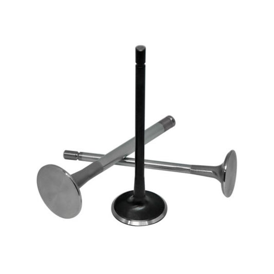 Soupape d'échappement XTREM en acier forgé pour Renault Clio II R.S. (172cv) Black Nitride
