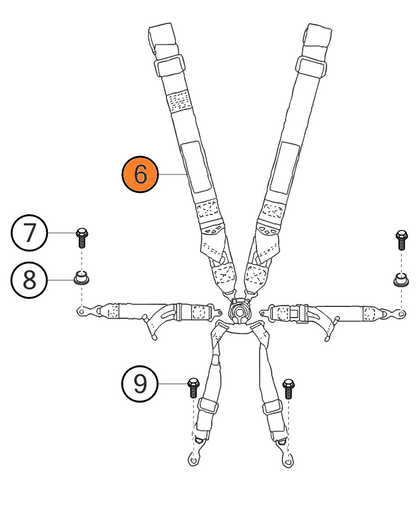 Harnais 6 points Porsche 991 GT3 CUP